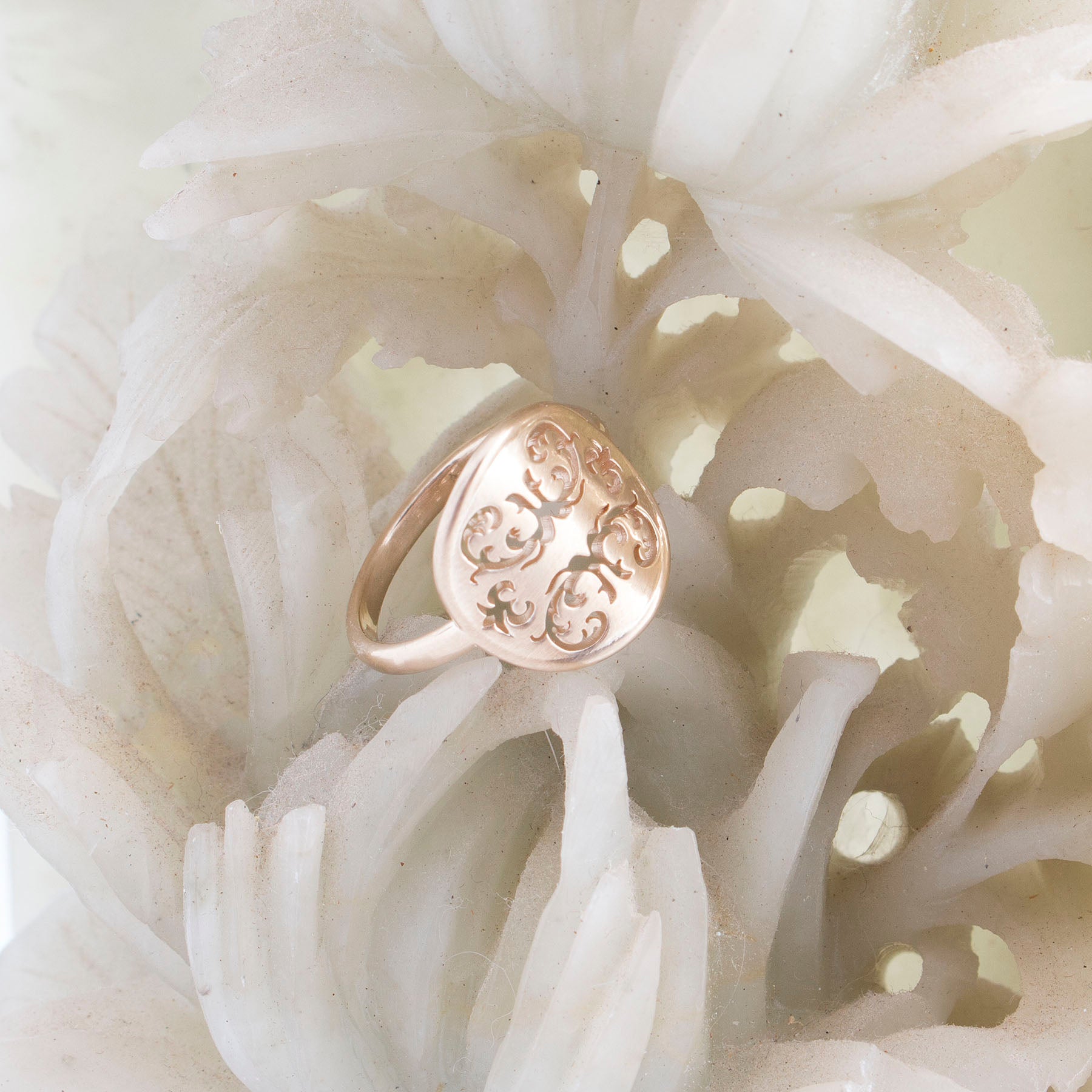 Breathtaking Can 14k Gold Get Wet Scene Photography Breathtaking Can 14k Gold Get Wet Scene Photography